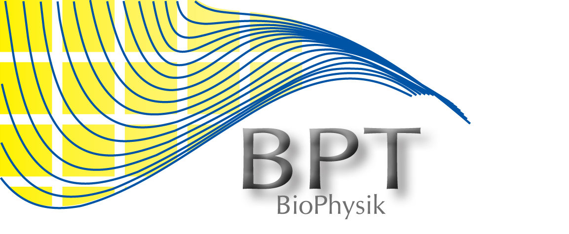 BioPhysik